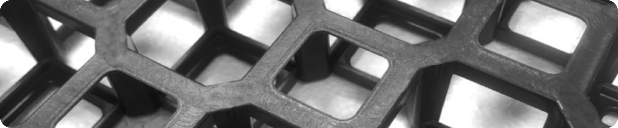 Dettaglio della rete tridimensionale SismaREX