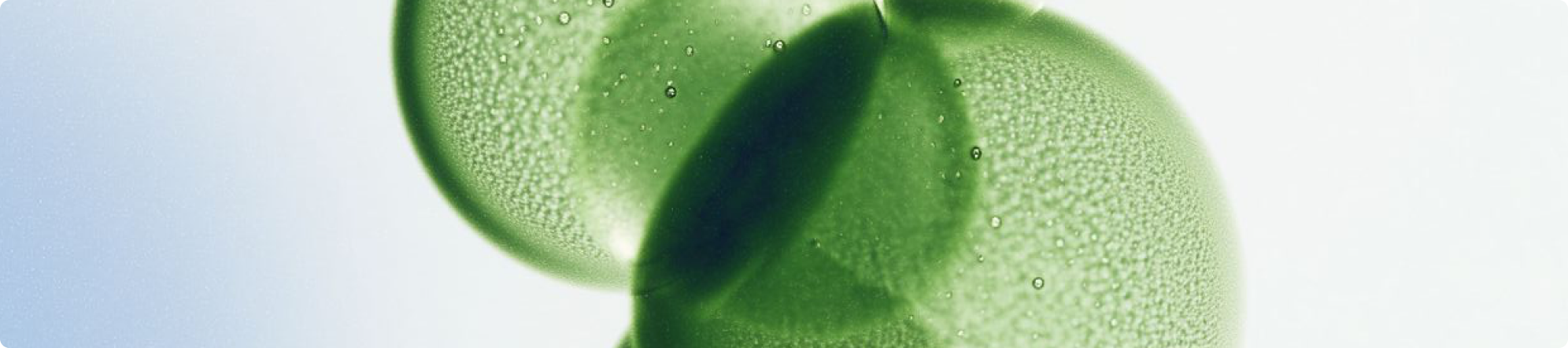 Dettaglio macro di una sfera verde con gocce